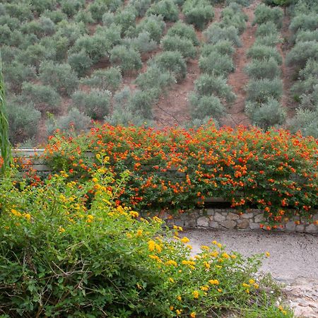 Physis Villas Chania Agia  Exterior foto