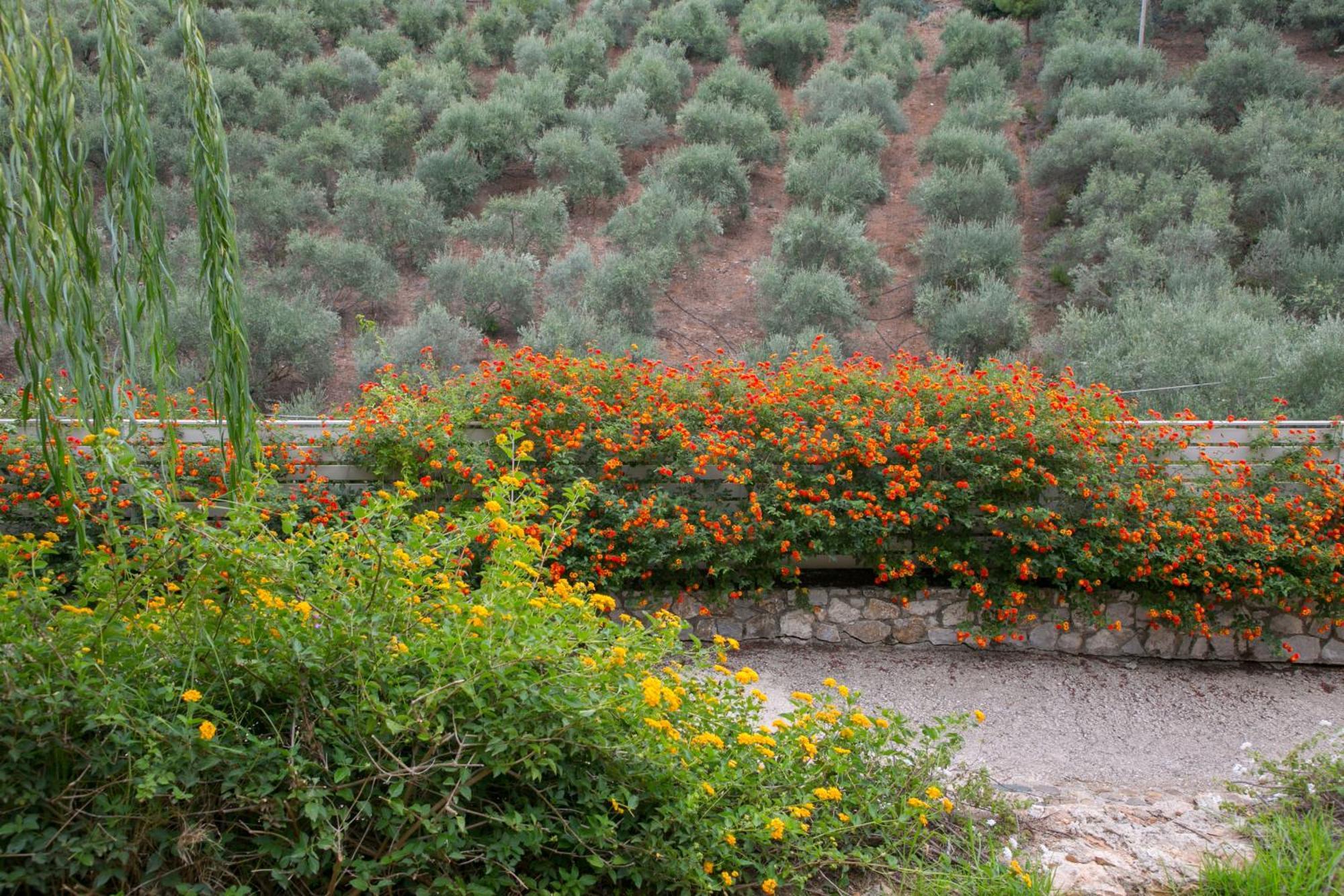 Physis Villas Chania Agia  Exterior foto