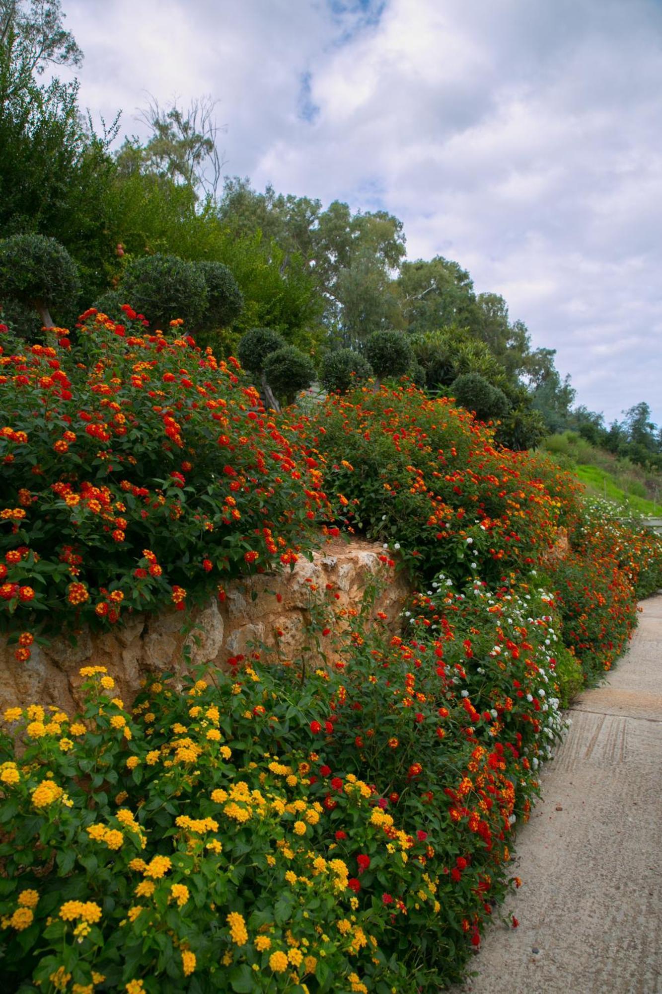 Physis Villas Chania Agia  Exterior foto