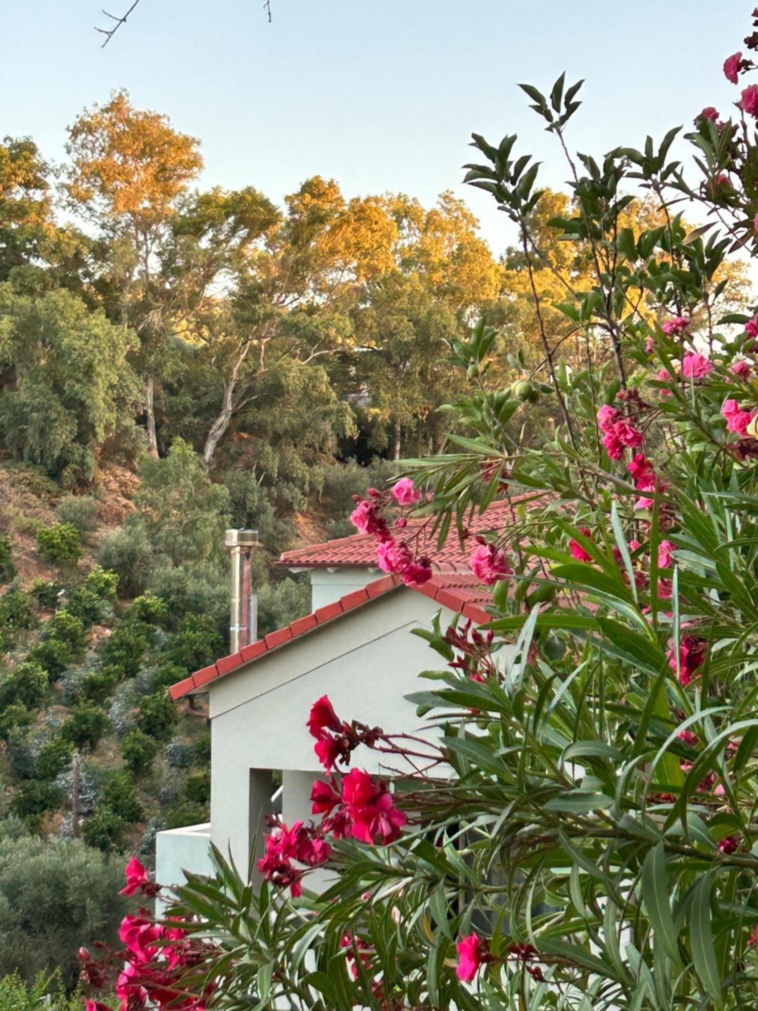 Physis Villas Chania Agia  Exterior foto