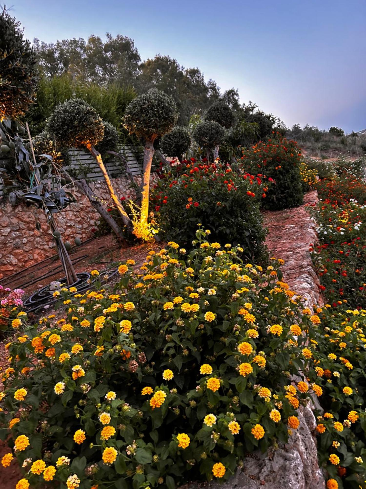 Physis Villas Chania Agia  Exterior foto